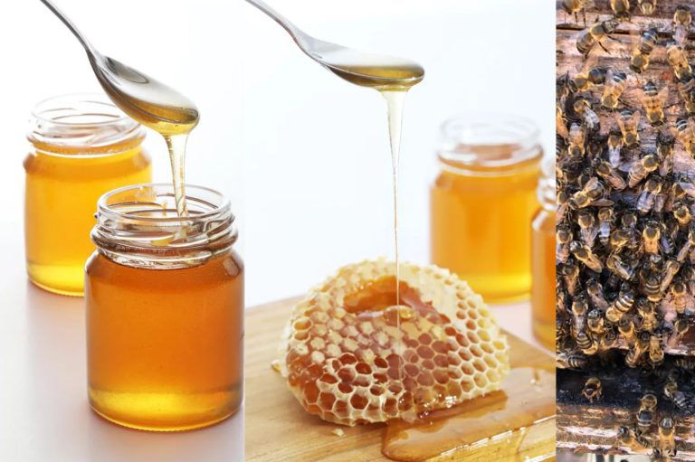 The relationship between the price of honey and its type