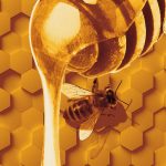 عسل کنار طبیعی ضد ویروس