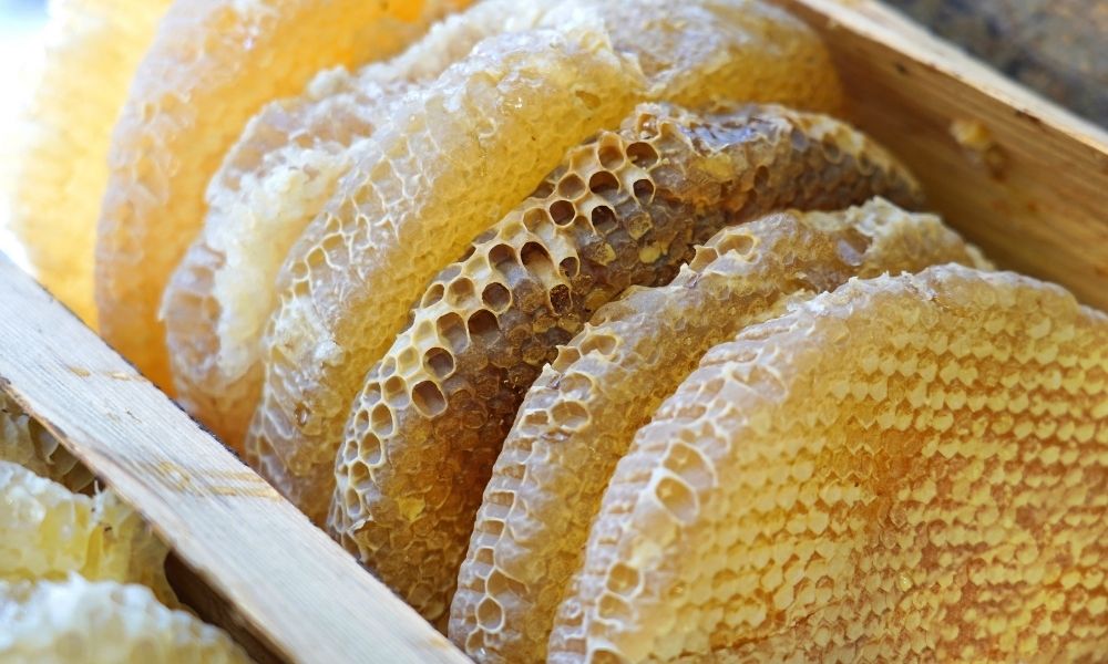 عسل های کنار 