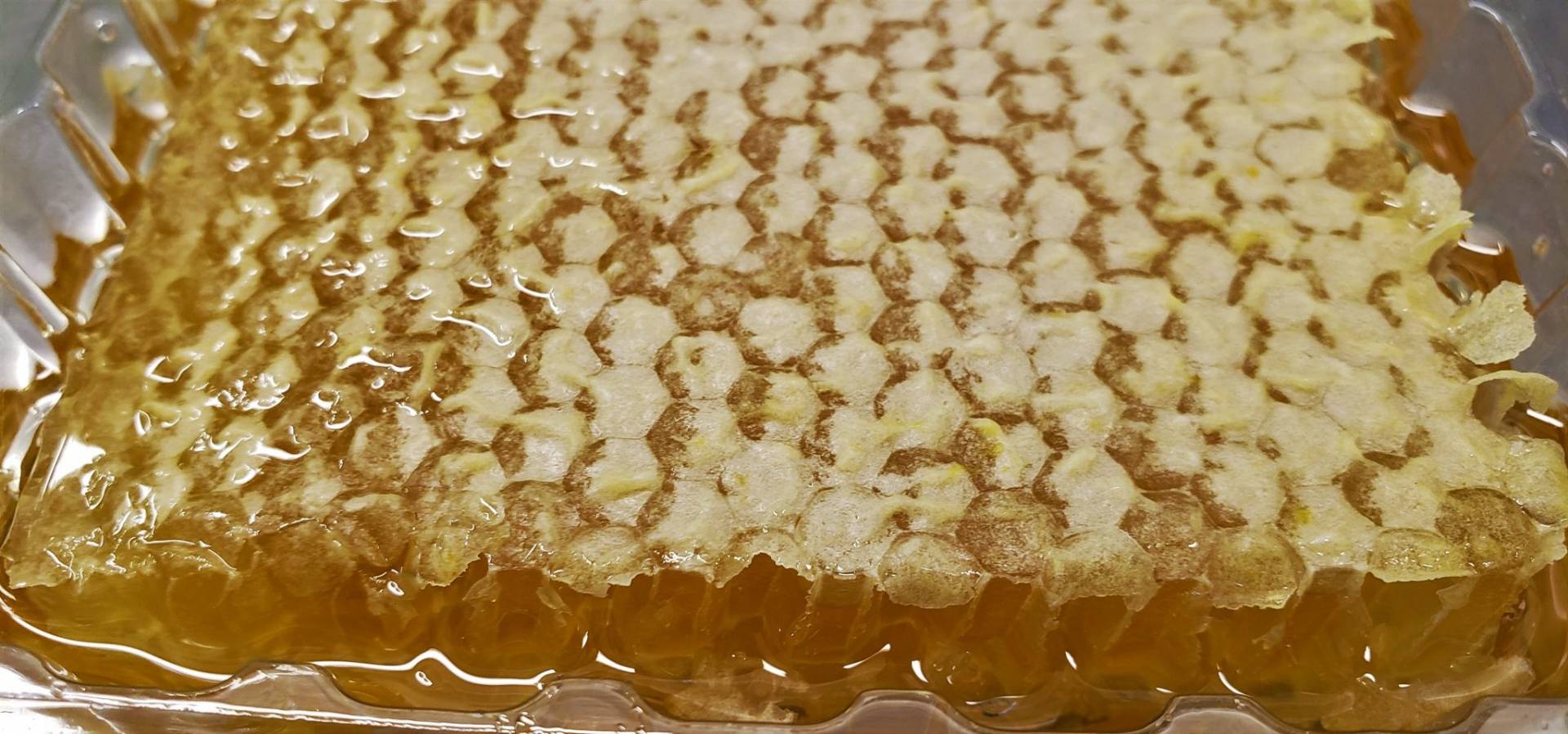 عسل با کیفیت کنار