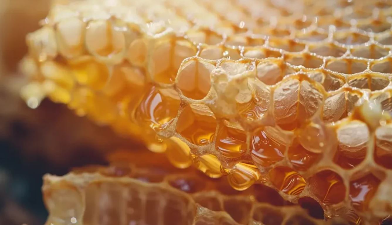 عسل شفابخش برای درمان 