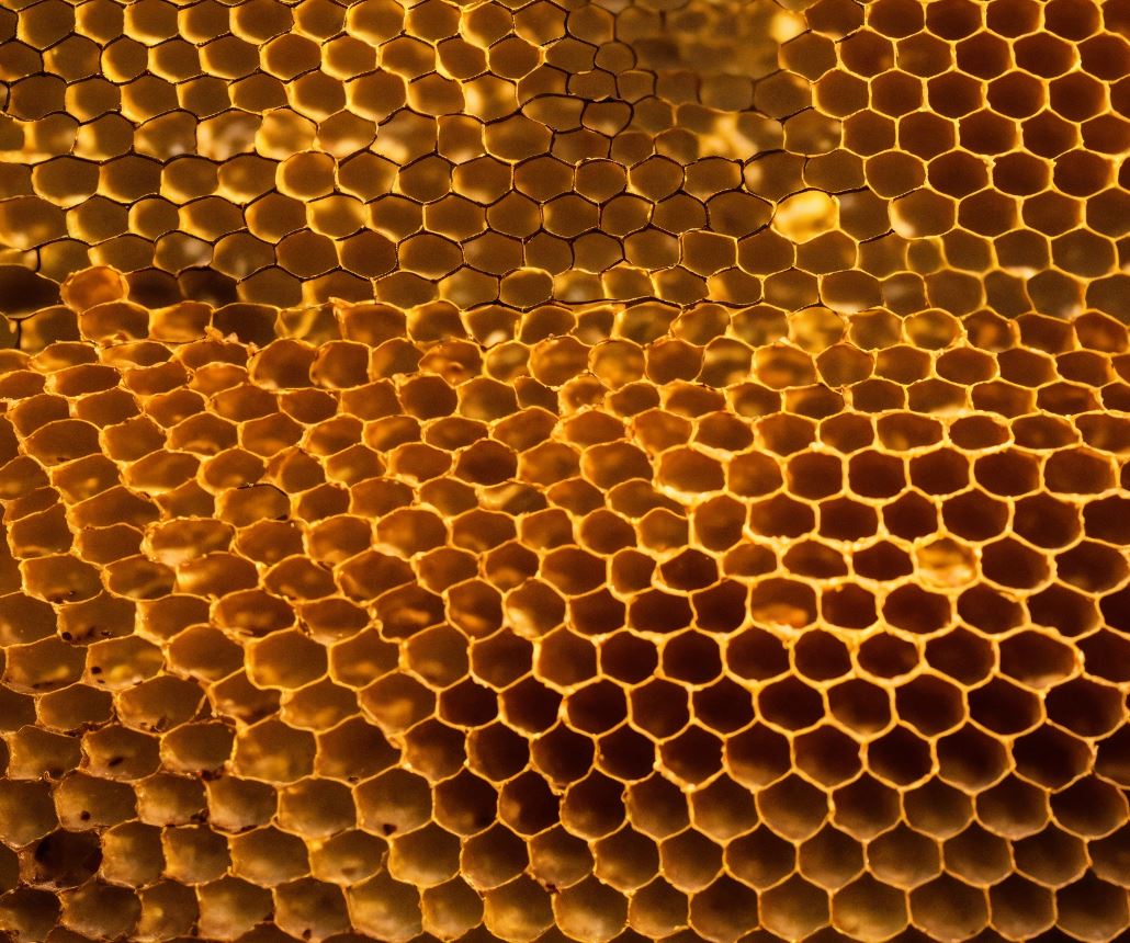 Export honey with wax