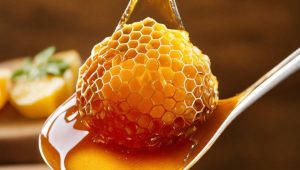 Iran's export honey beekeeping industry