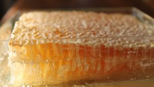 honey exports from Iran to the UAE