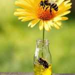 colorful and fragrant Iranian export honey