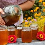 Iranian fruit honey for export