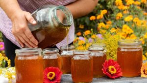 Iranian fruit honey for export