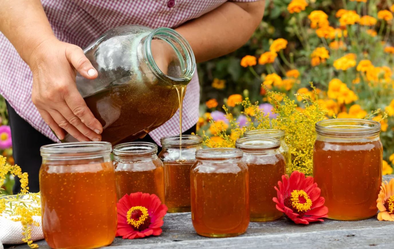 Iranian fruit honey for export