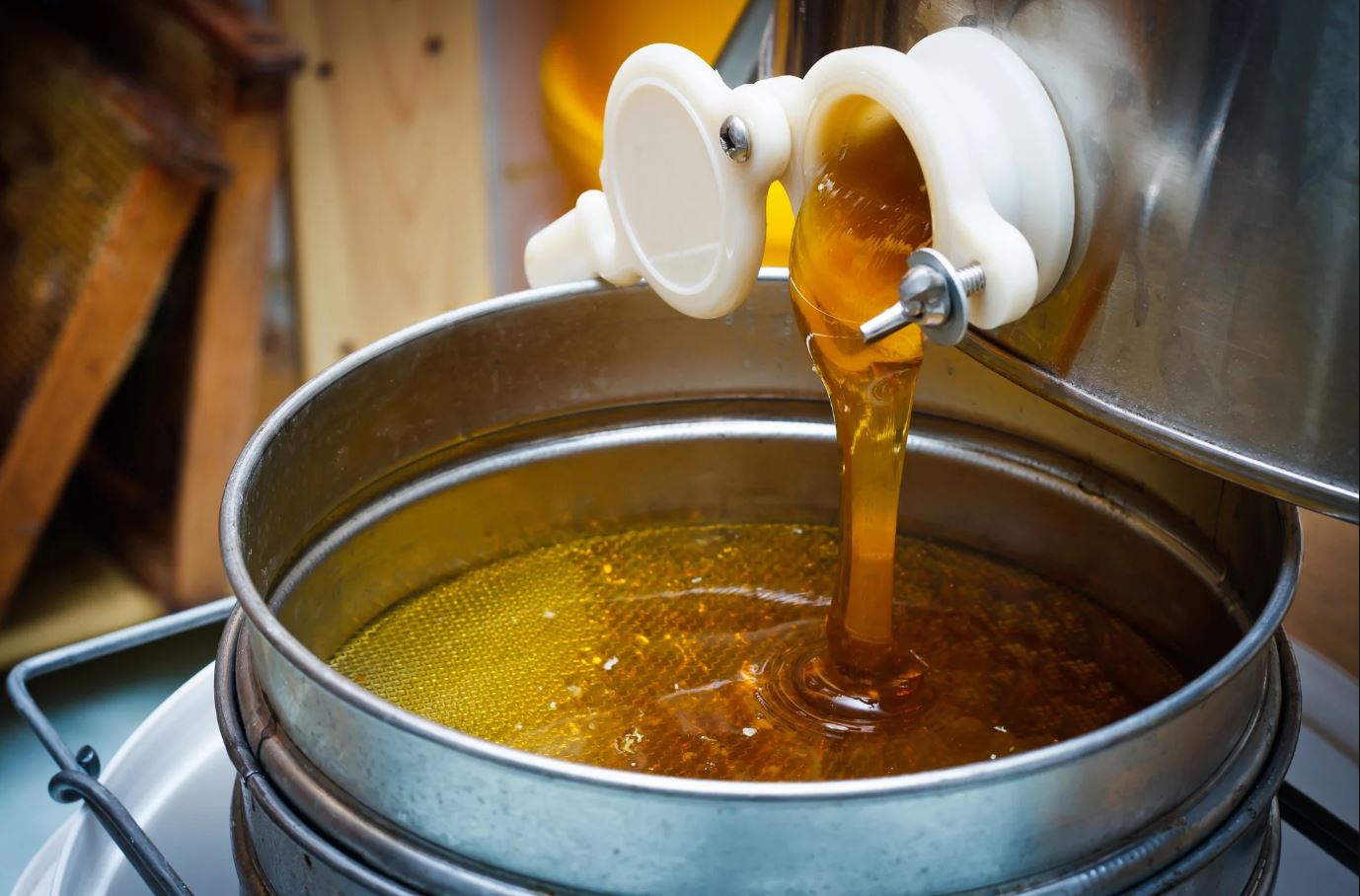 Production of honey in a new way