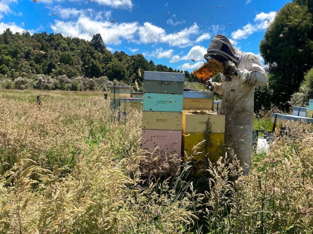 Honey production naturally