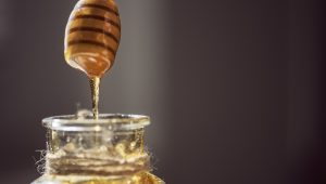 Export honey production in the south of Iran