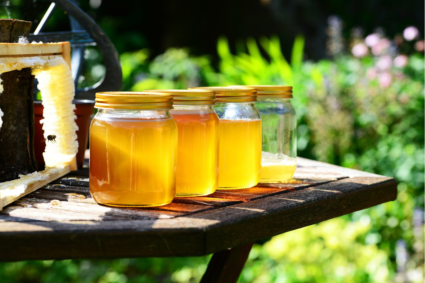 Harvesting honey in nature