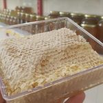 Grade 1 Iranian natural honey