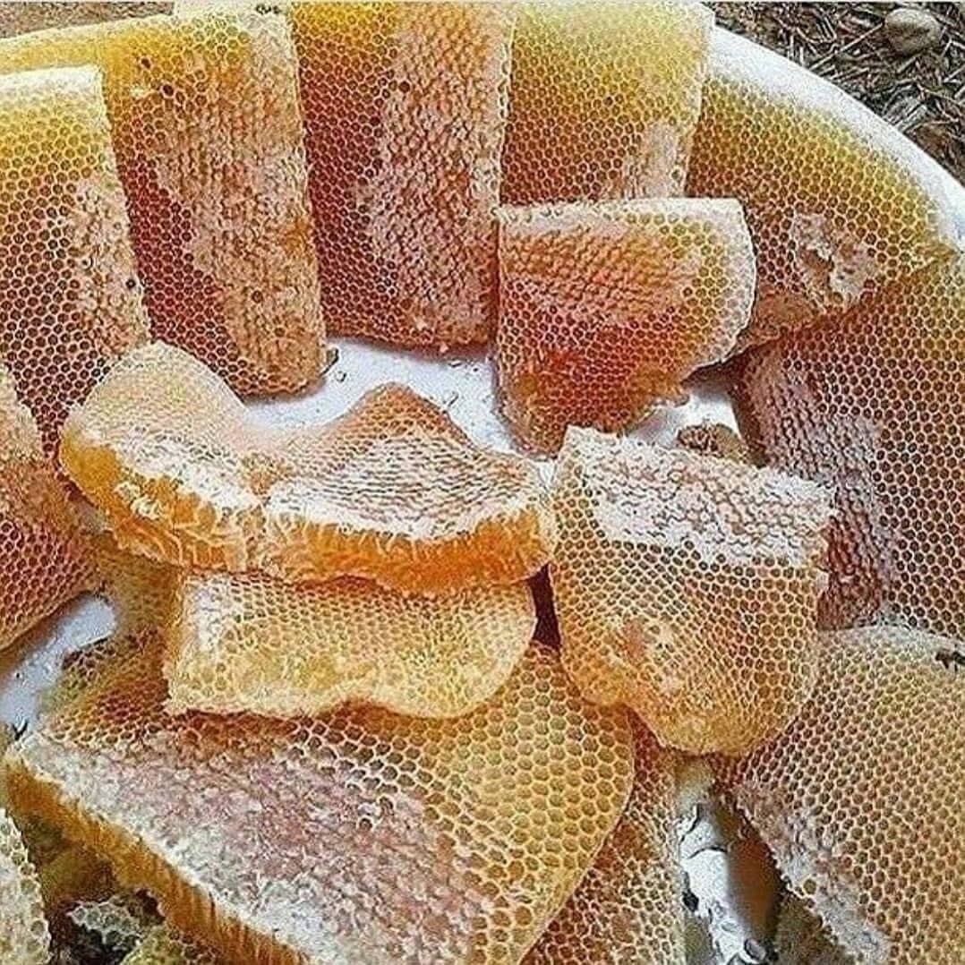 Original honey with wax