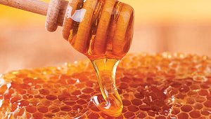 Mountain alfalfa honey