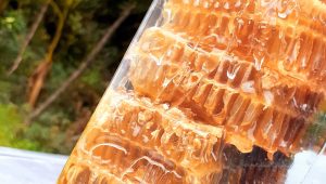 semi-nutritional mountain honey