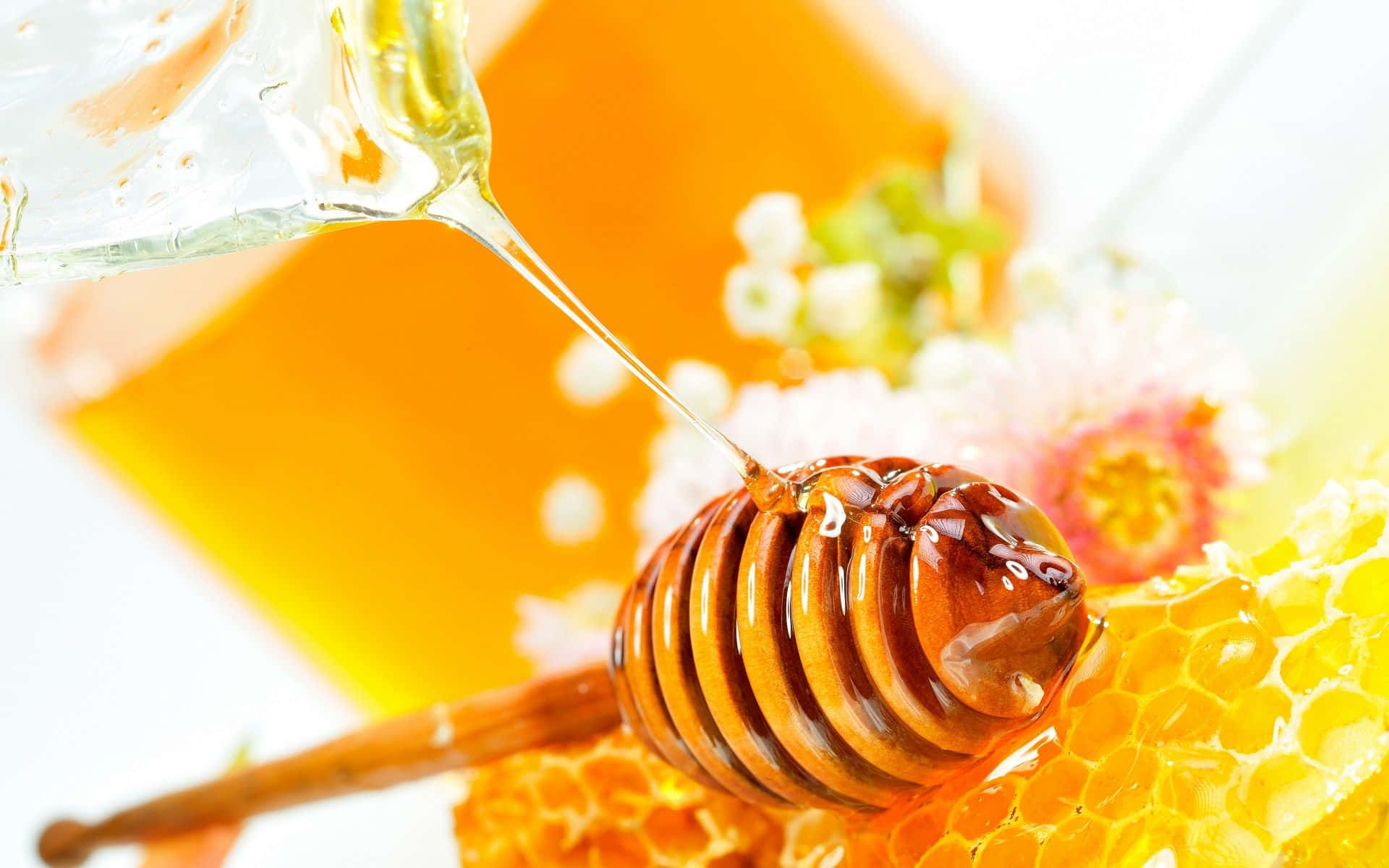 High quality Iranian honey