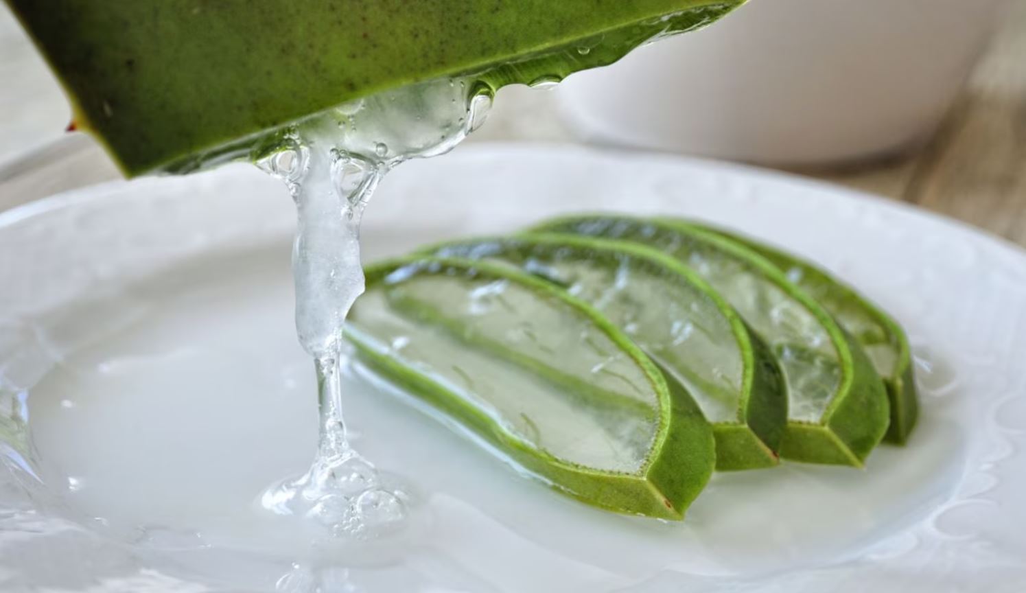 The effect of aloe vera on wound healing